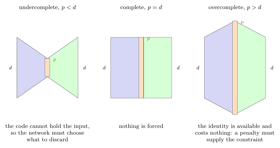The three regimes of the bottleneck width, drawn as the width of the r